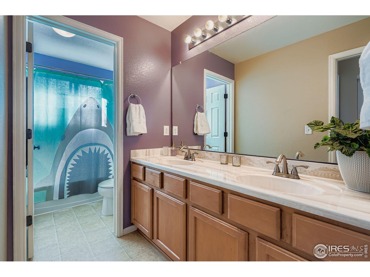 2011 Alpine Drive Erie, CO 80516 - Photo 19 of 21 a bathroom with a double vanity sink and a mirror