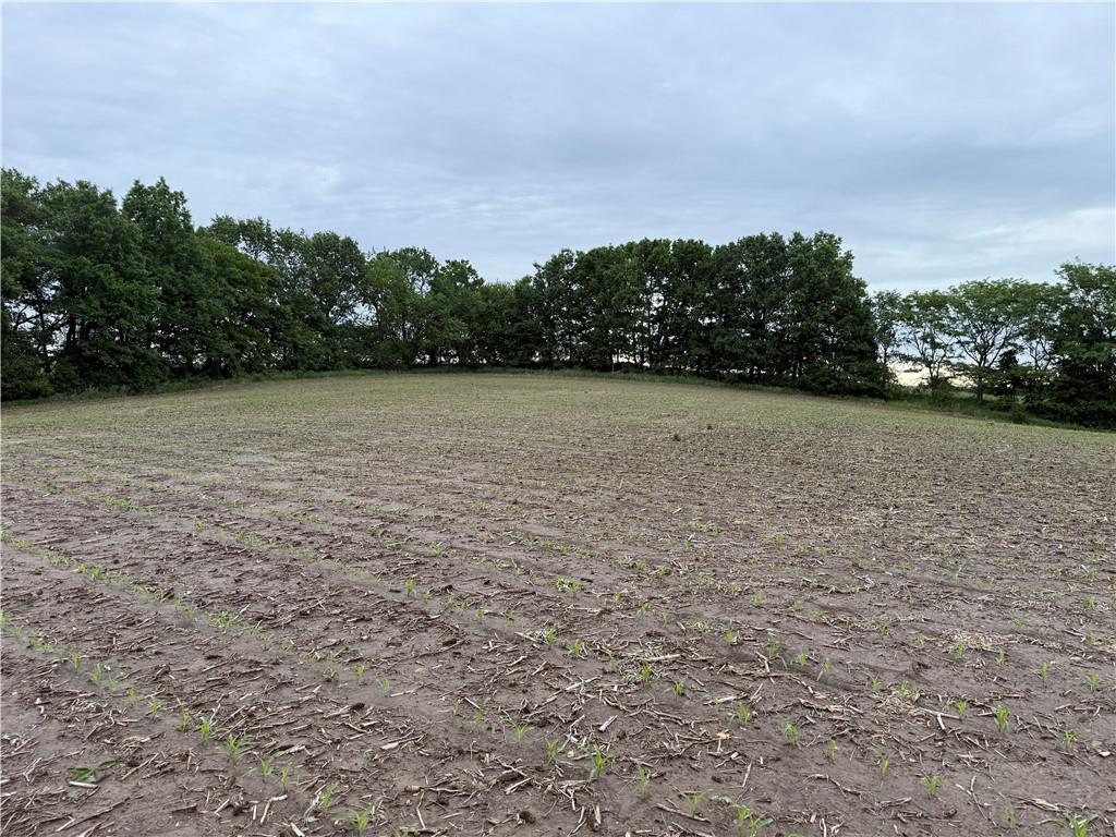 Cotton Road Purdin, MO 64674 - Photo 8 of 14
