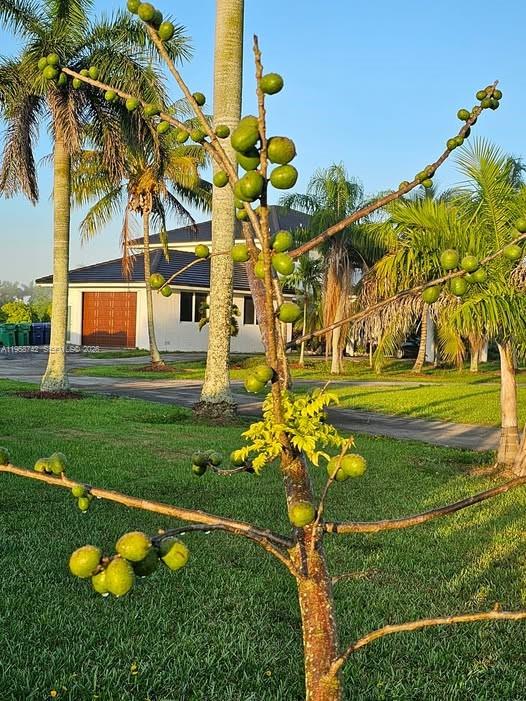 20520 Southwest 190th Street Miami, FL 33187 - Photo 37 of 39 a view of a playground with basketball court