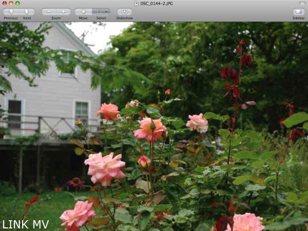 112 Edgartown Road Vineyard Haven, MA 02568 - Photo 8 of 9 http://d1qzqeyxiitrap.cloudfront.net/photos/19348/600/b8fc58c4.jpg