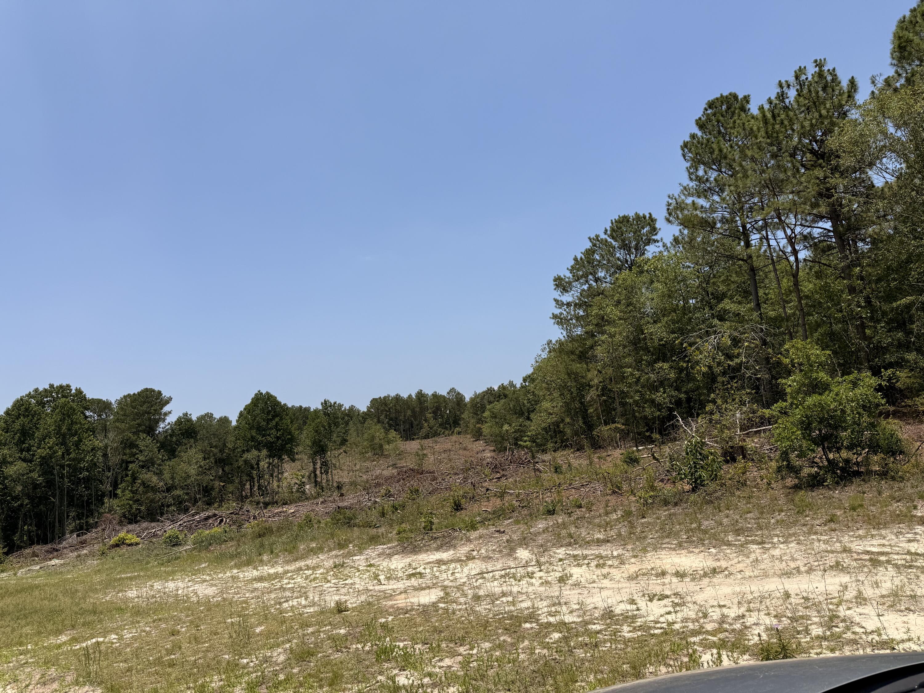 380 Windy Ridge Road Trenton, SC 29847 - Photo 24 of 34