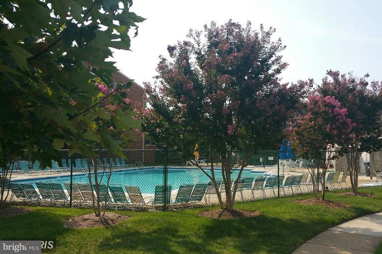 6367 Racetec Place Springfield, VA 22150 - Photo 19 of 25 a view of a park with large trees