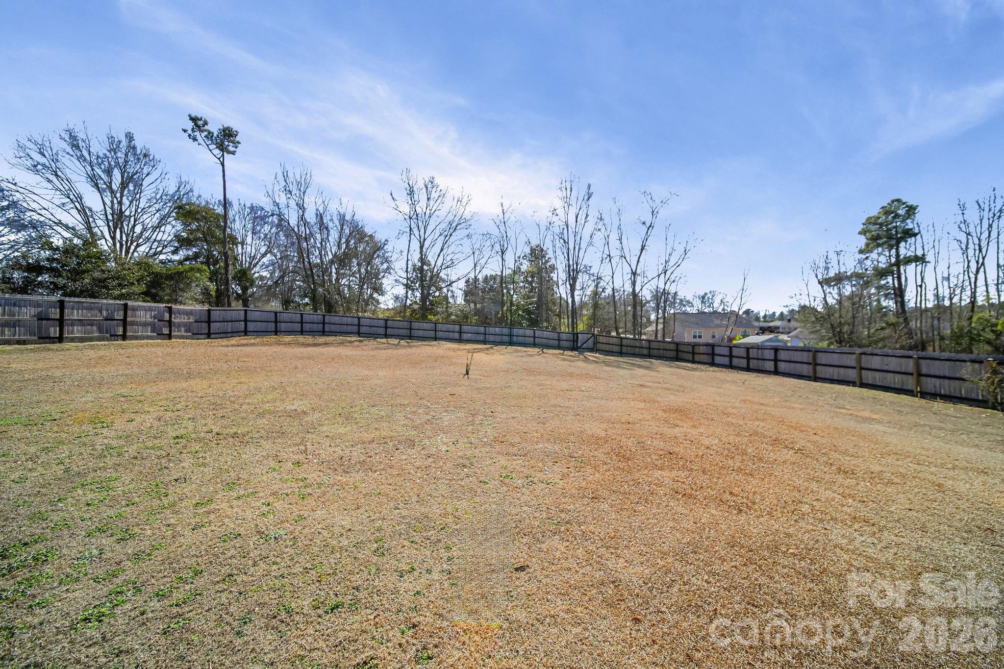 1189 West Elizabeth Street Pageland, SC 29728 - Photo 36 of 37 a view of a yard with a trees
