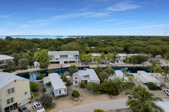 an aerial view of a lake with houses