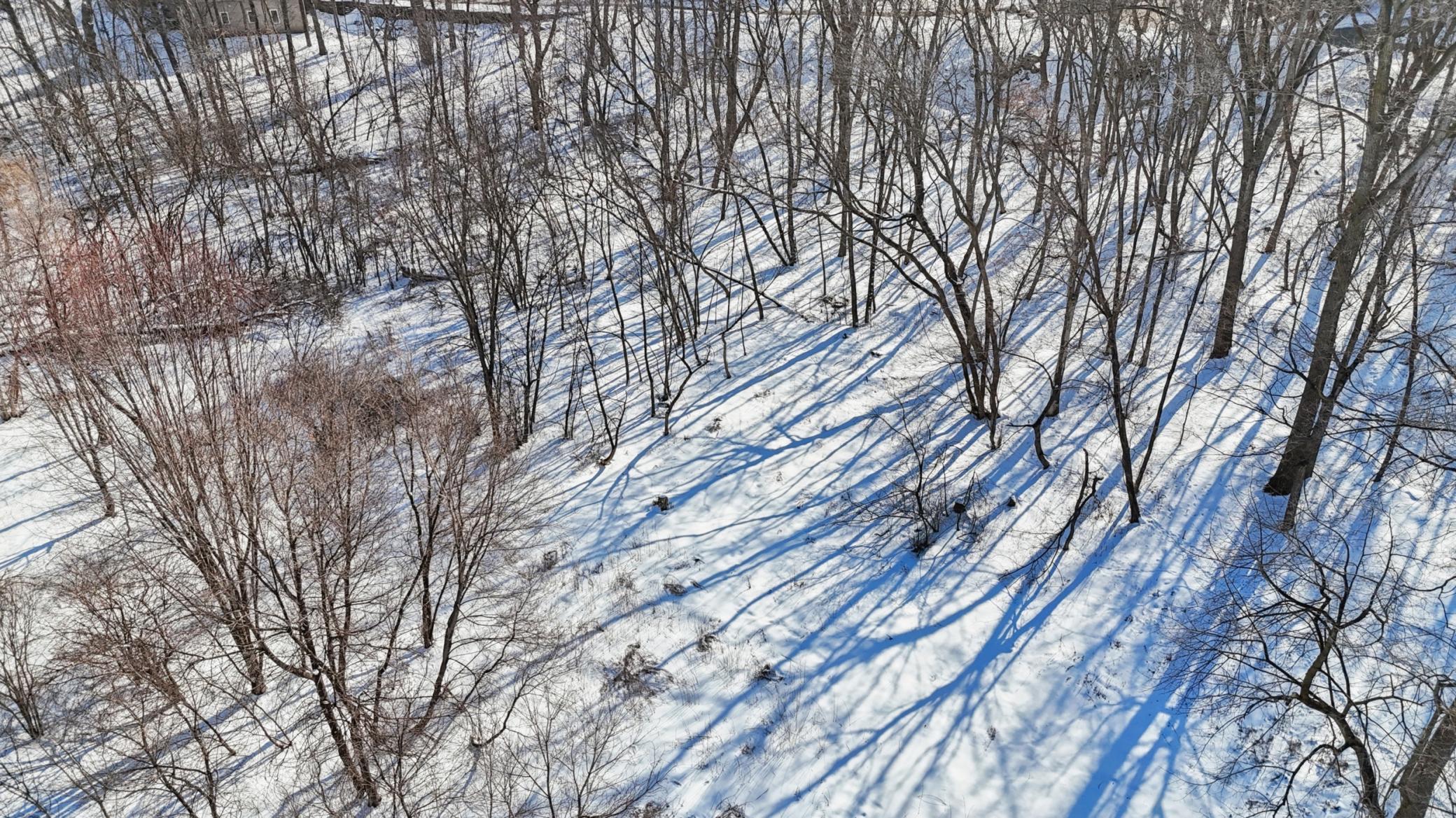 445 Bovey Road Wayzata, MN 55391 - Photo 12 of 18