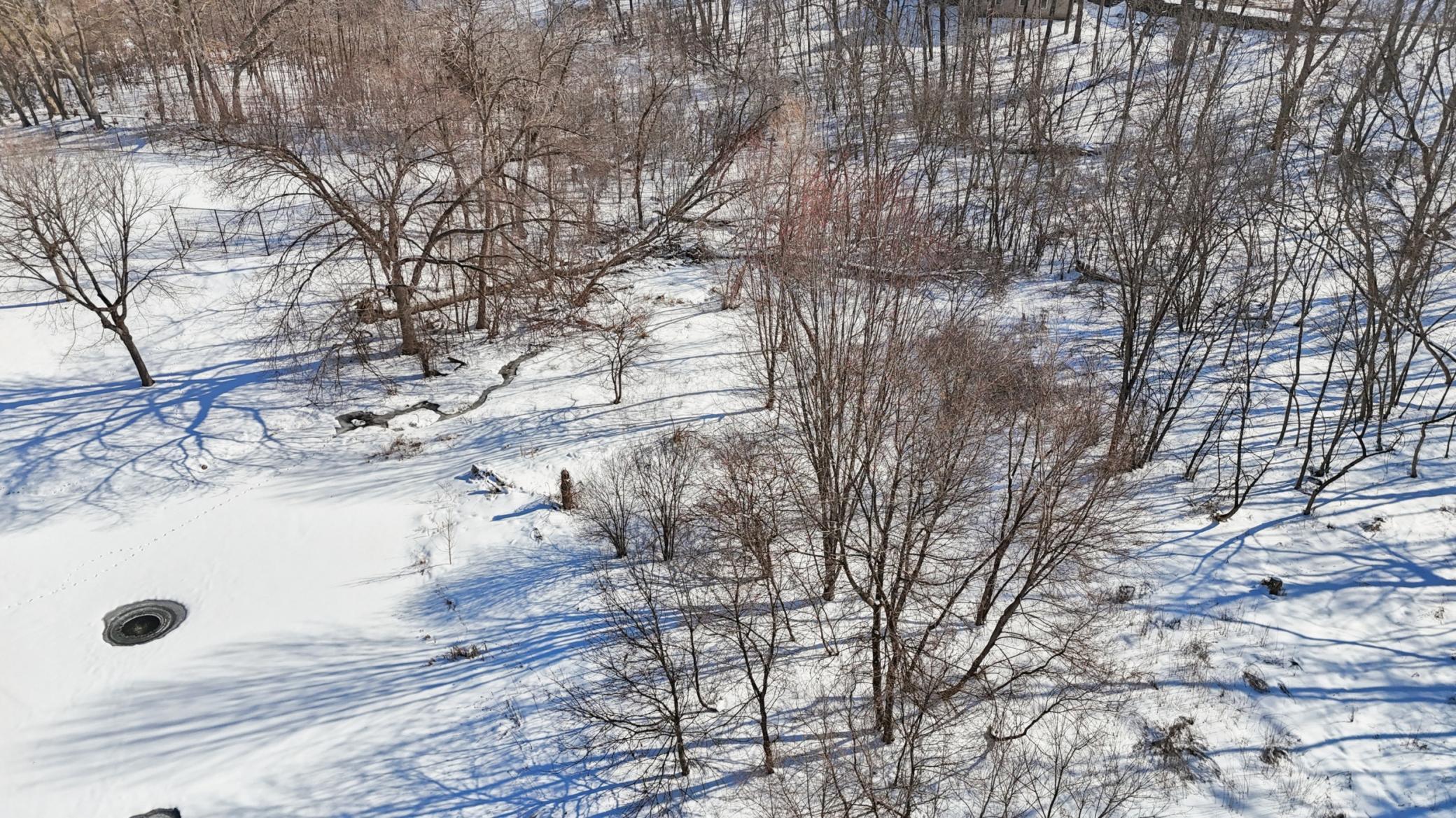 445 Bovey Road Wayzata, MN 55391 - Photo 13 of 18