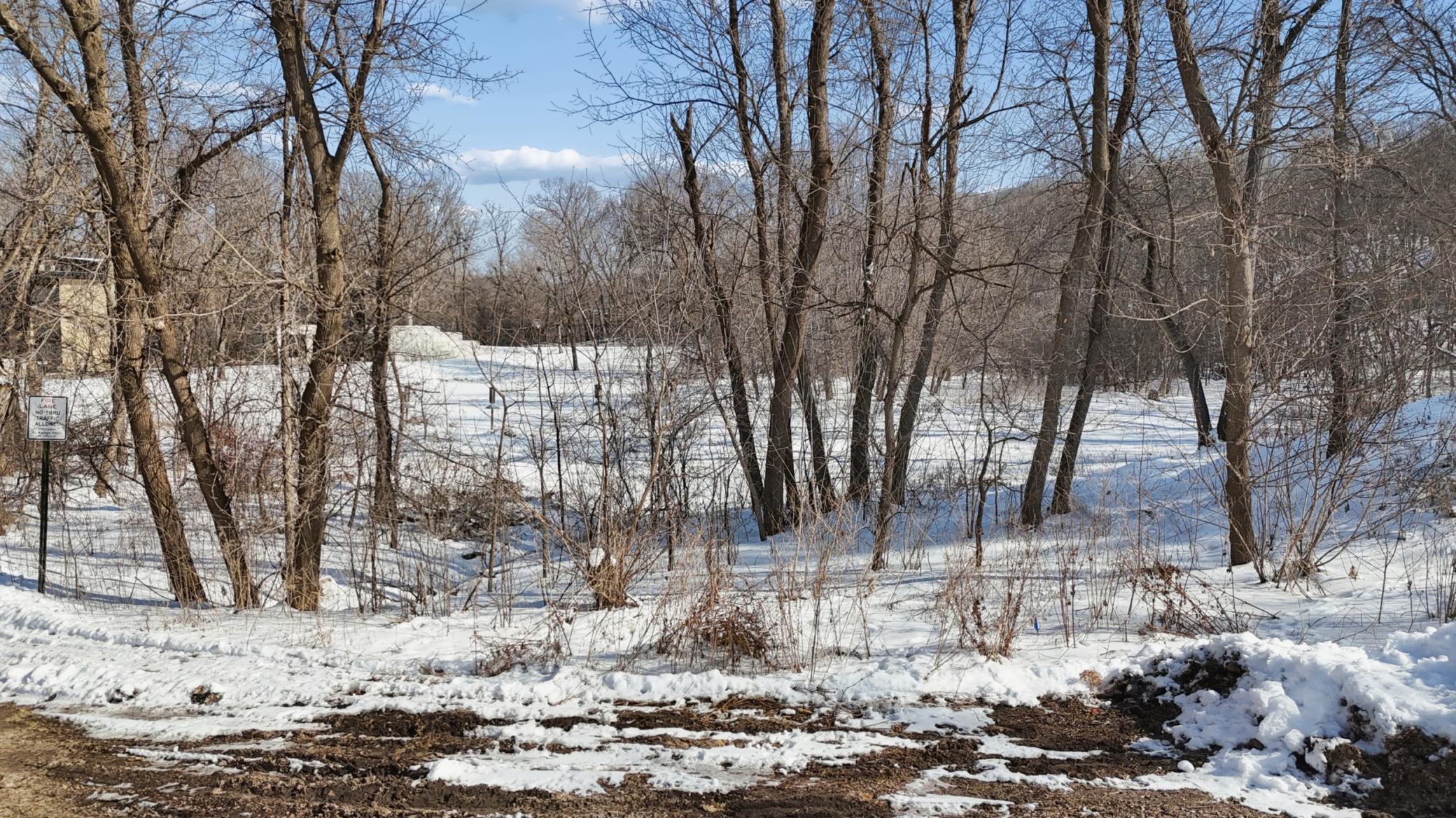 445 Bovey Road Wayzata, MN 55391 - Photo 15 of 18