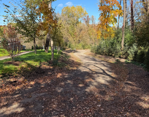 445 Bovey Road Wayzata, MN 55391 - Photo 17 of 18