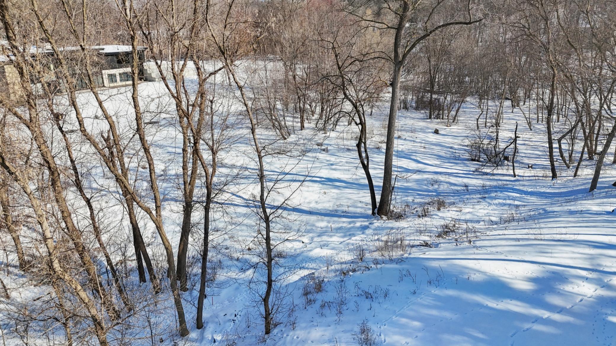 445 Bovey Road Wayzata, MN 55391 - Photo 2 of 18