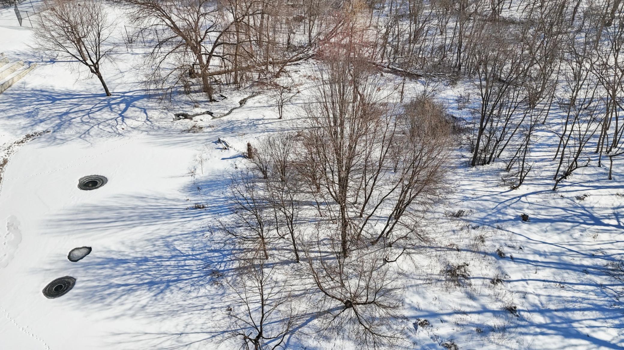 445 Bovey Road Wayzata, MN 55391 - Photo 7 of 18