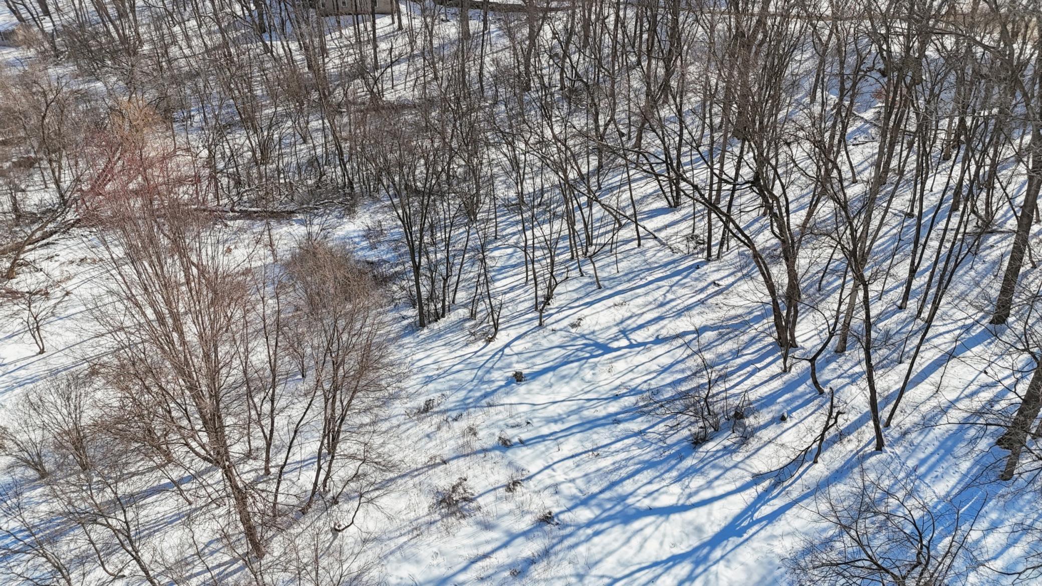 445 Bovey Road Wayzata, MN 55391 - Photo 9 of 18