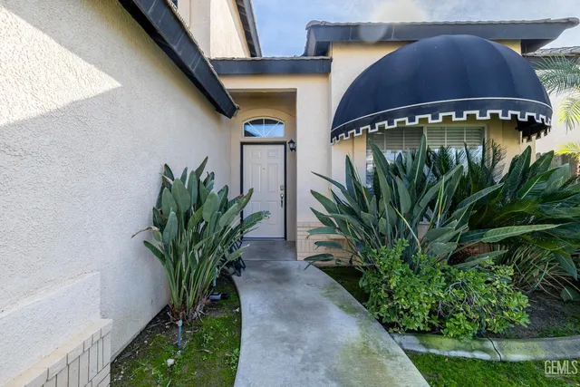 a close view of a potted plant in front of a house