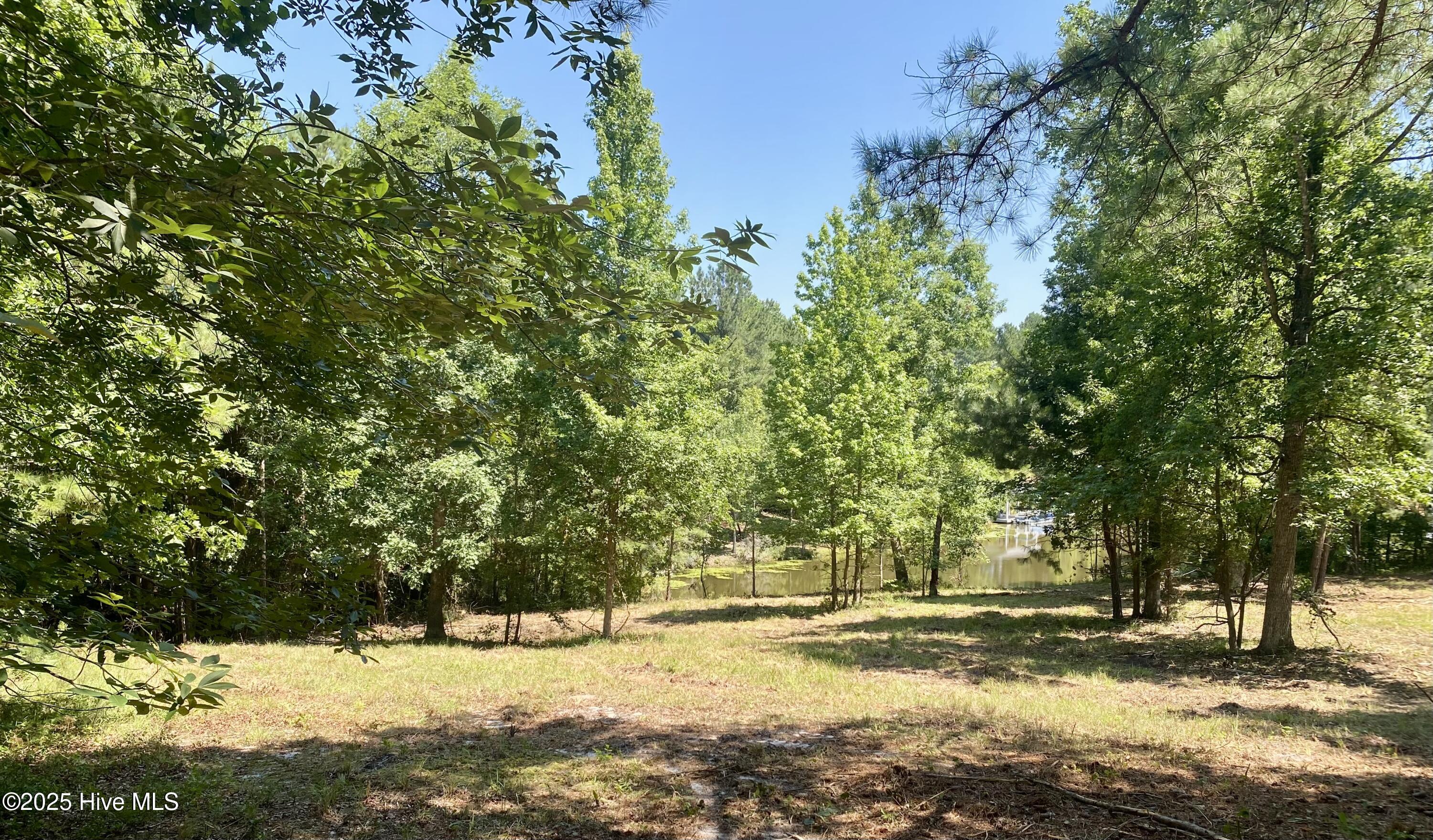 291 Gails Road West End, NC 27376 - Photo 5 of 10 108R view from top