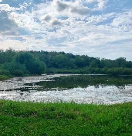 $2,999,999 | 764 County Road 3422, Bynum, TX 76631