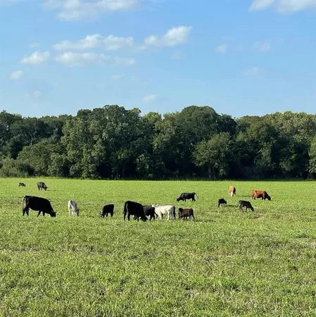 $2,999,999 | 764 County Road 3422, Bynum, TX 76631
