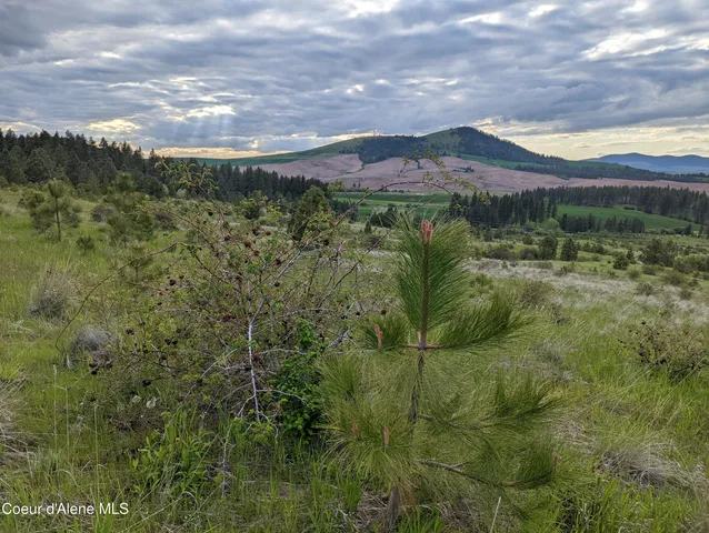 $179,000 | 2614 Desmet Road, Desmet, ID 83824