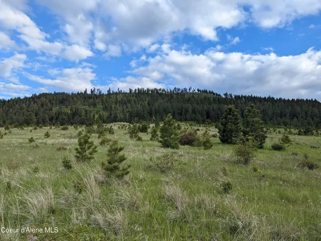 $179,000 | 2614 Desmet Road, Desmet, ID 83824