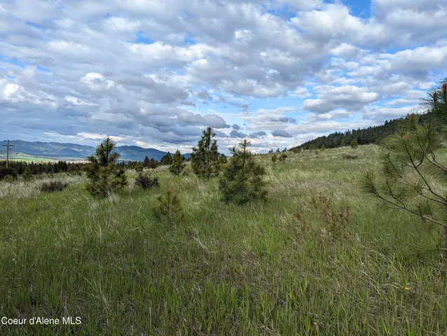 $179,000 | 2614 Desmet Road, Desmet, ID 83824