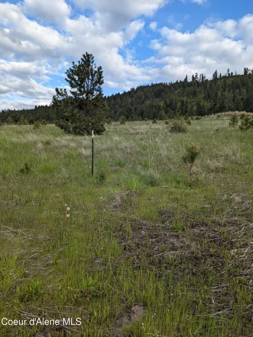 $179,000 | 2614 Desmet Road, Desmet, ID 83824