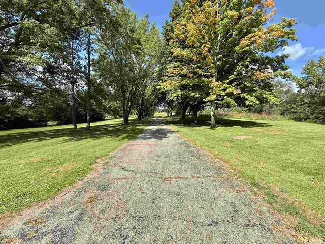 a view of park with trees