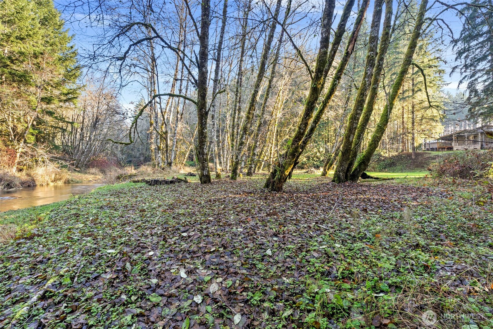 1895 North Fork Road Chehalis, WA 98532 - Photo 35 of 39