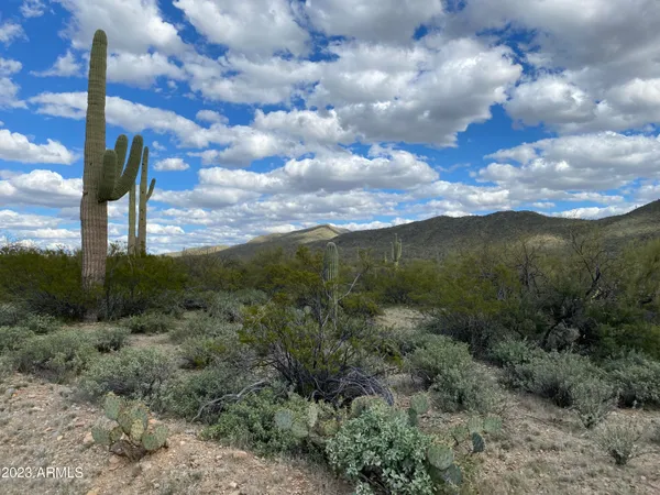 $395,000 | 160-acres South Guild Road, Marana, AZ 85658