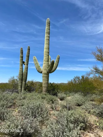 $395,000 | 160-acres South Guild Road, Marana, AZ 85658