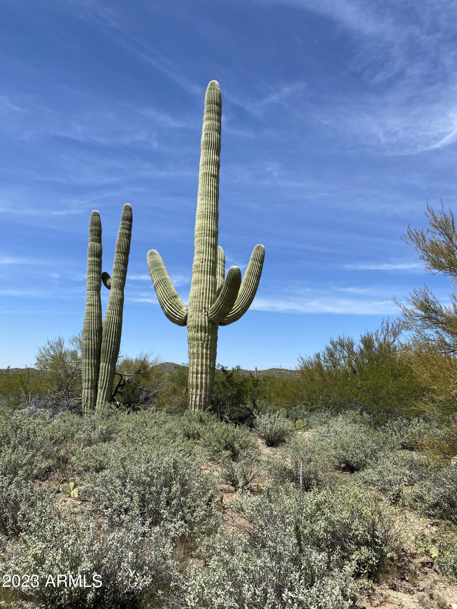 160-acres South Guild Road Marana, AZ 85658 - Photo 4 of 46 IMG-2128