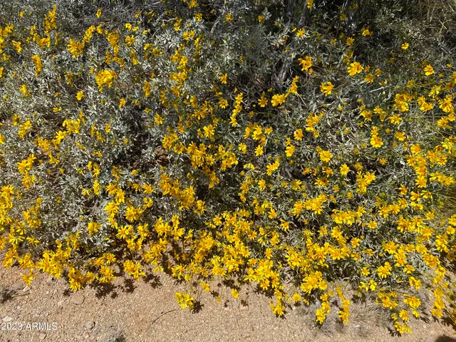 $450,000 | 160-acres South Guild Road, Marana, AZ 85658