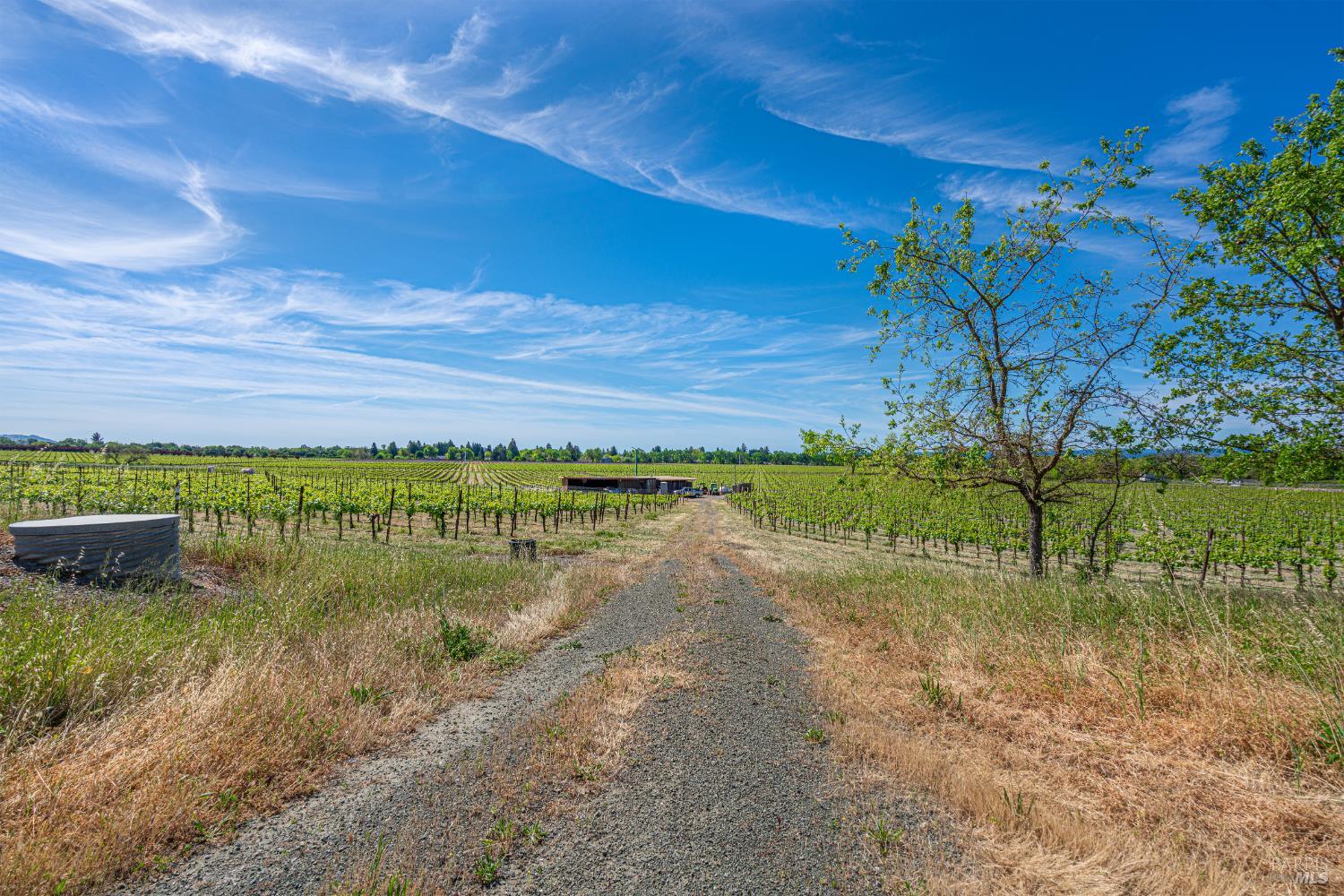 590 Pleasant Avenue Santa Rosa, CA 95403 - Photo 69 of 84 a view of a lake with a big yard