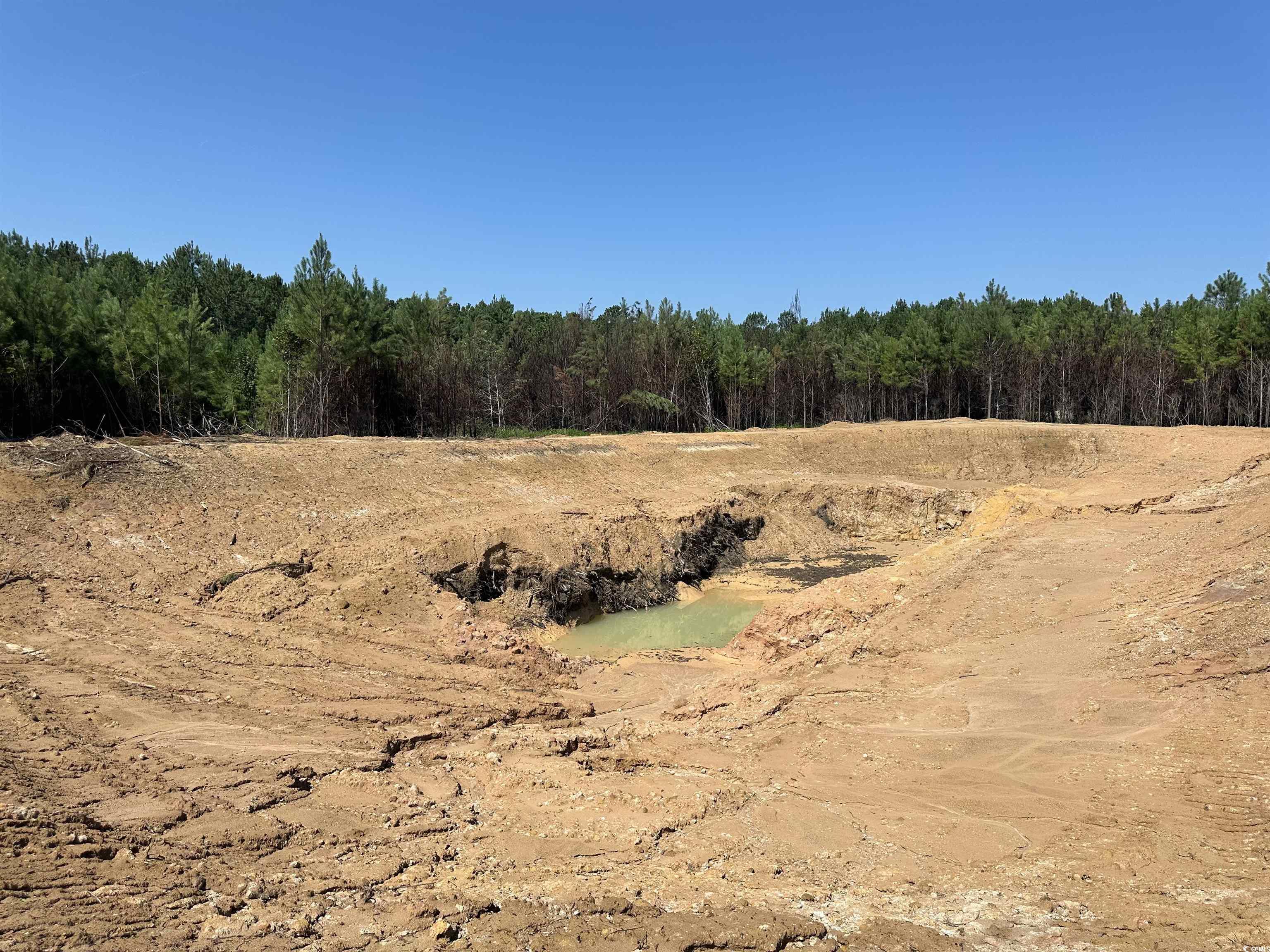 Tbd Santee Road Andrews, SC 29510 - Photo 6 of 21