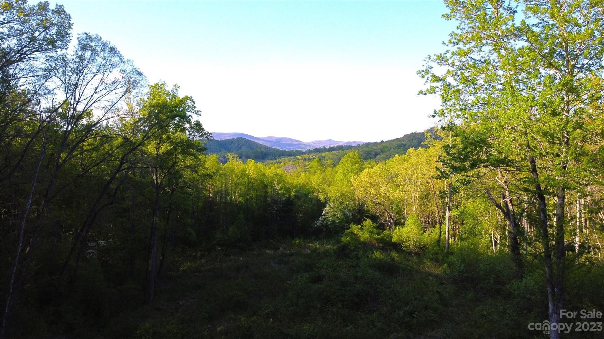 0 Bishop Cove Road Fairview, NC 28730 - Photo 1 of 21 Gallery Image 1