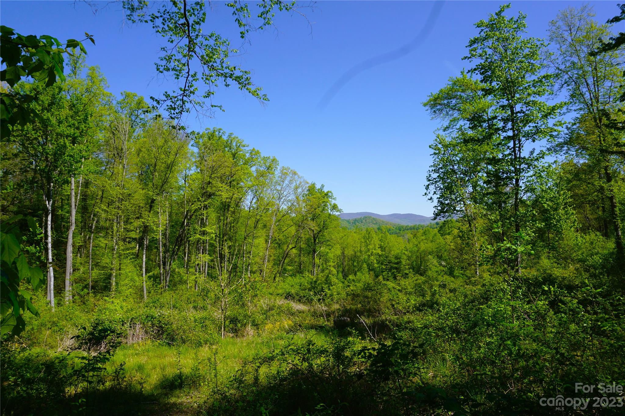 0 Bishop Cove Road Fairview, NC 28730 - Photo 14 of 21 Gallery Image 14