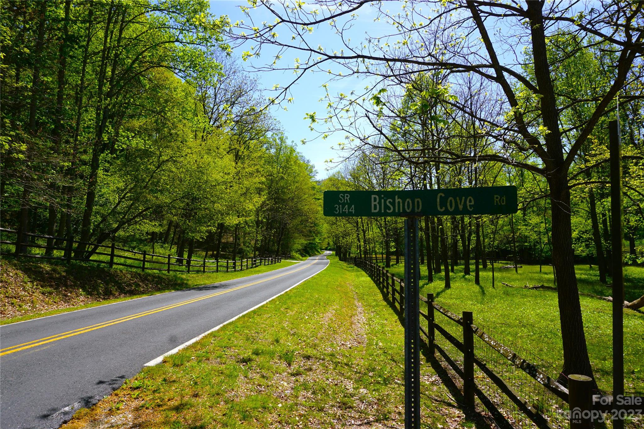 0 Bishop Cove Road Fairview, NC 28730 - Photo 2 of 21 Gallery Image 2