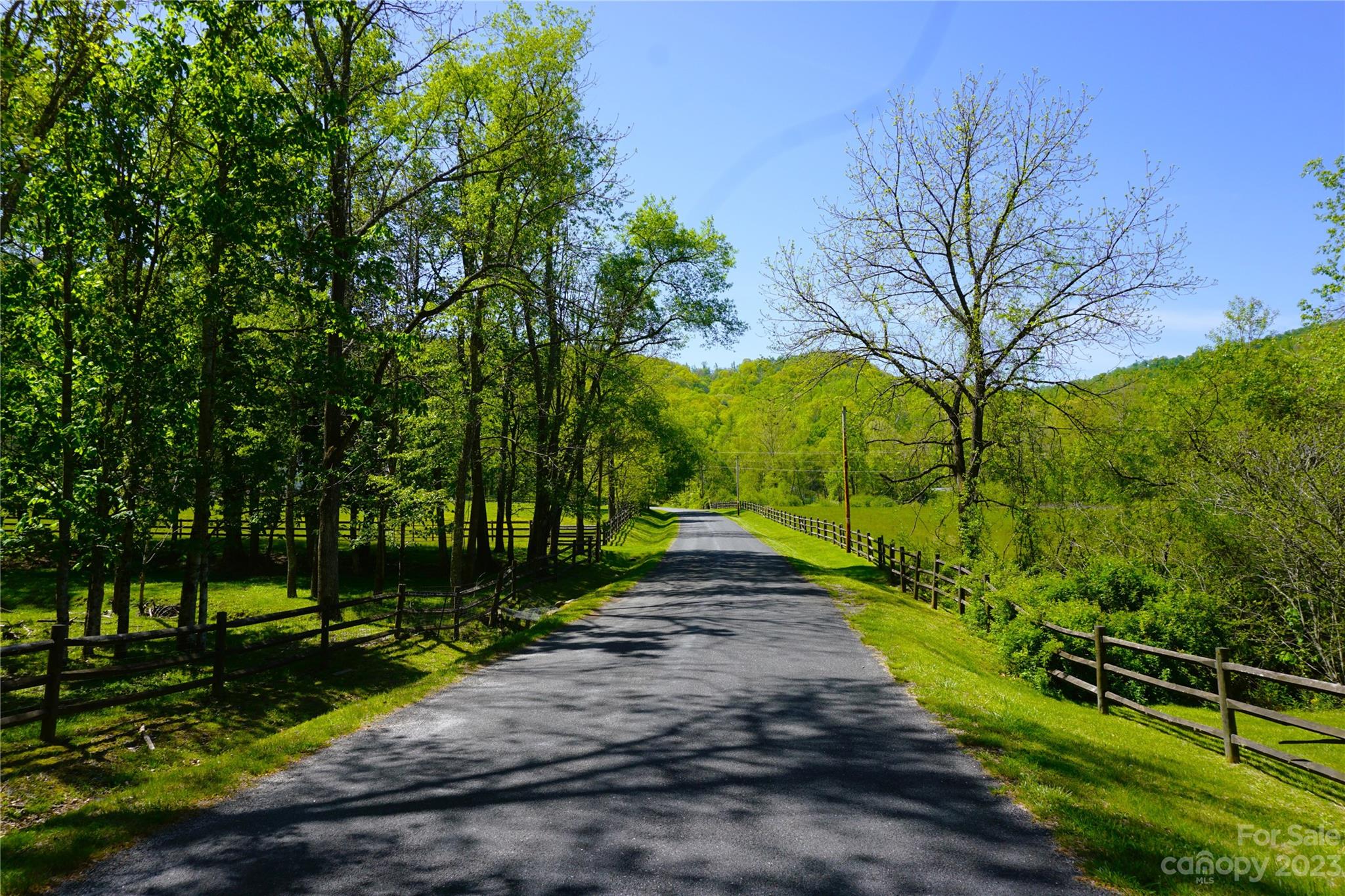 0 Bishop Cove Road Fairview, NC 28730 - Photo 3 of 21 Gallery Image 3