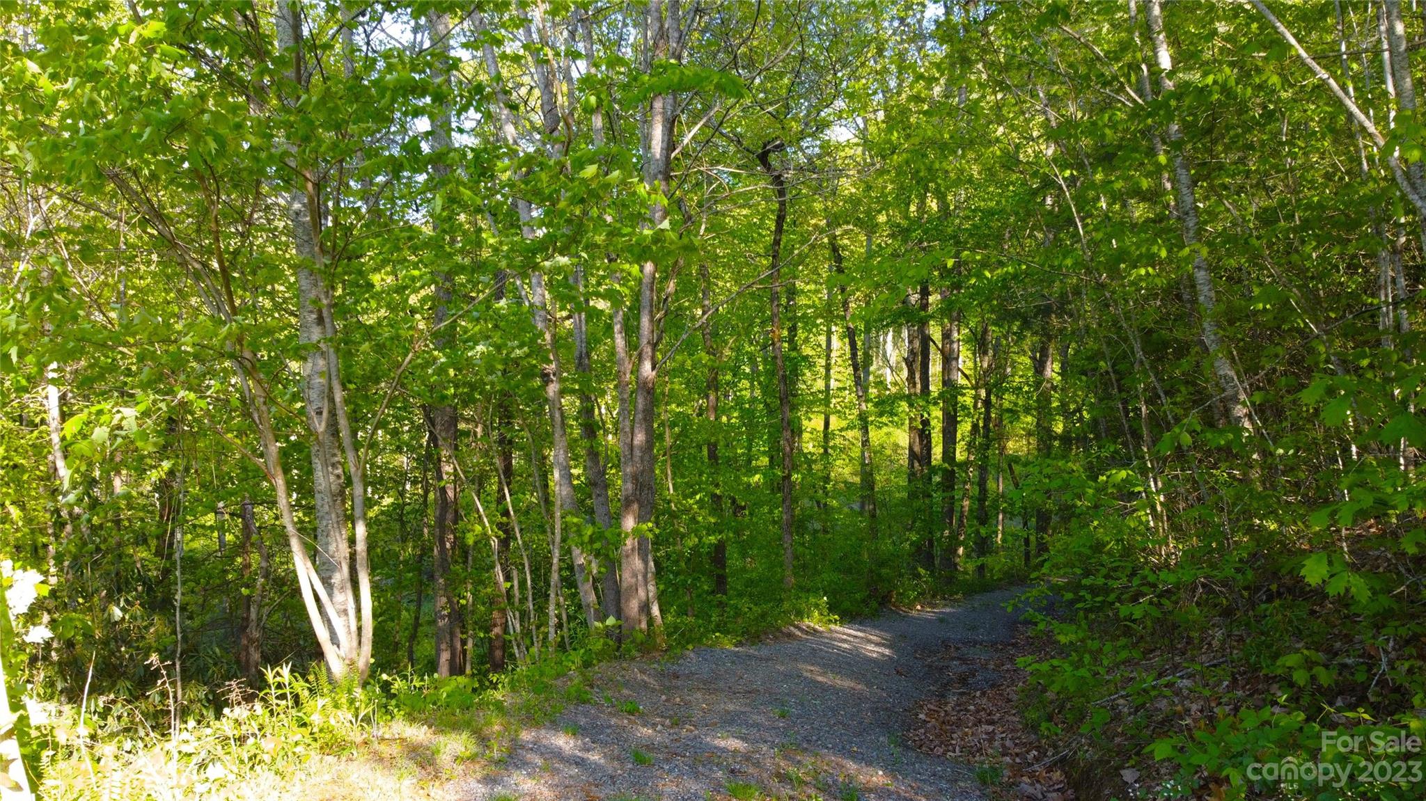 0 Bishop Cove Road Fairview, NC 28730 - Photo 4 of 21 Gallery Image 4
