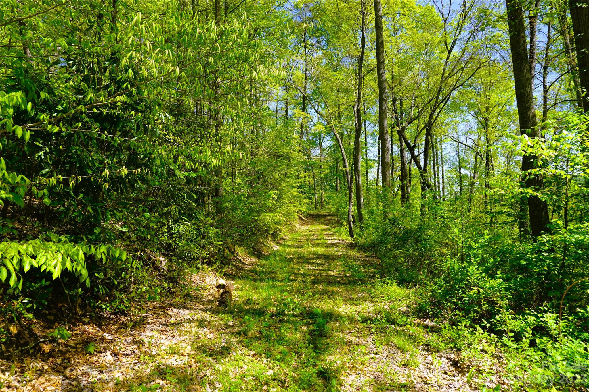0 Bishop Cove Road Fairview, NC 28730 - Photo 5 of 21 Gallery Image 5