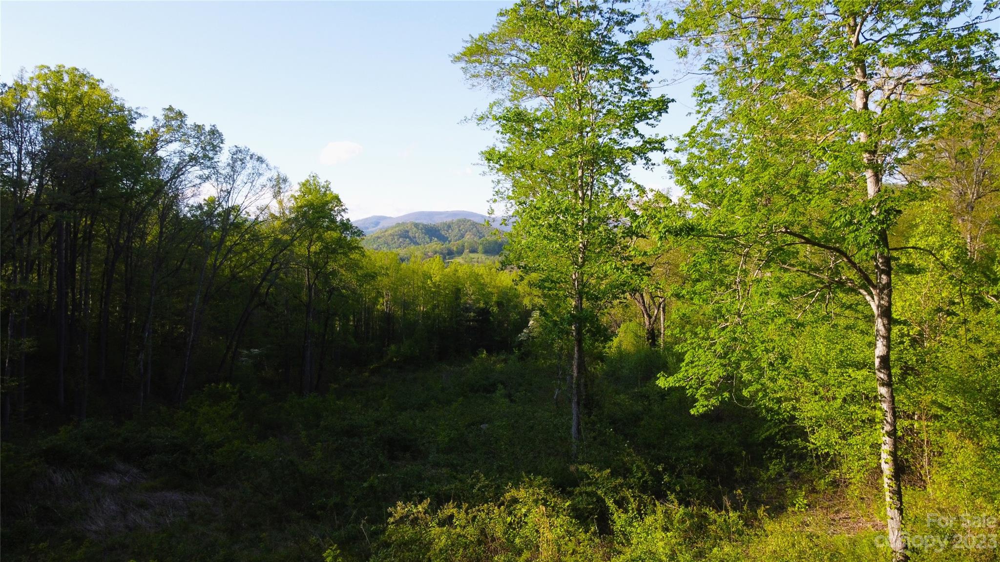 0 Bishop Cove Road Fairview, NC 28730 - Photo 7 of 21 Gallery Image 7