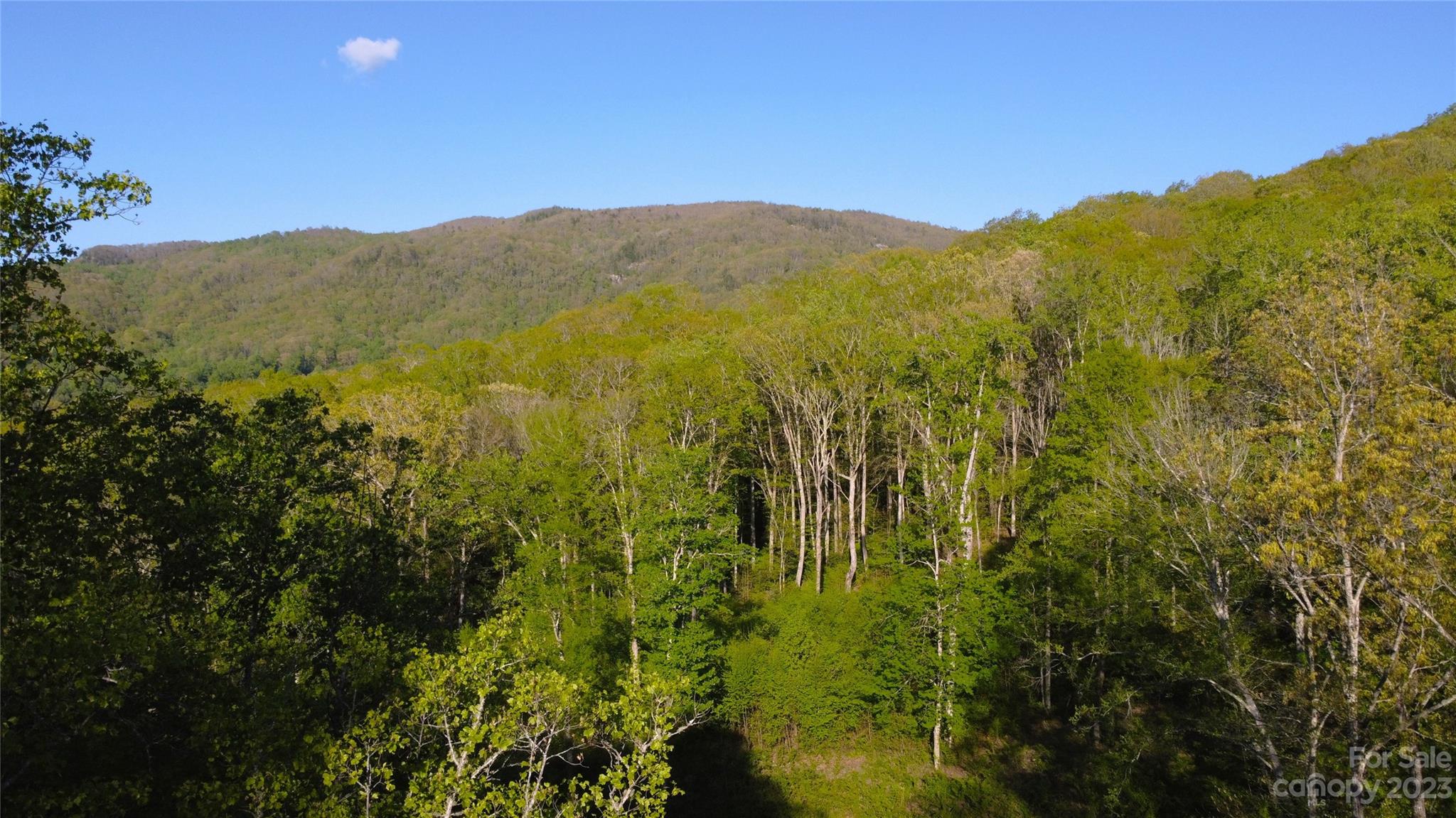 0 Bishop Cove Road Fairview, NC 28730 - Photo 9 of 21 Gallery Image 9