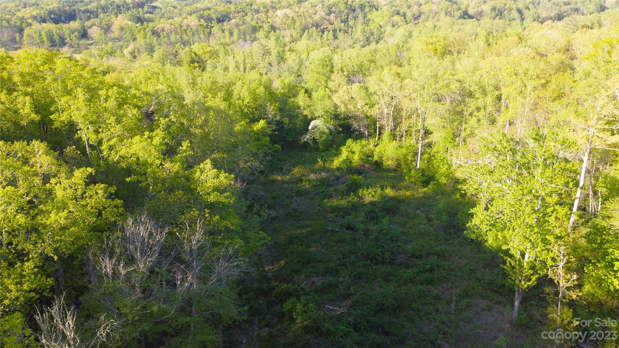 0 Bishop Cove Road Fairview, NC 28730 - Photo 10 of 21 Gallery Image 10