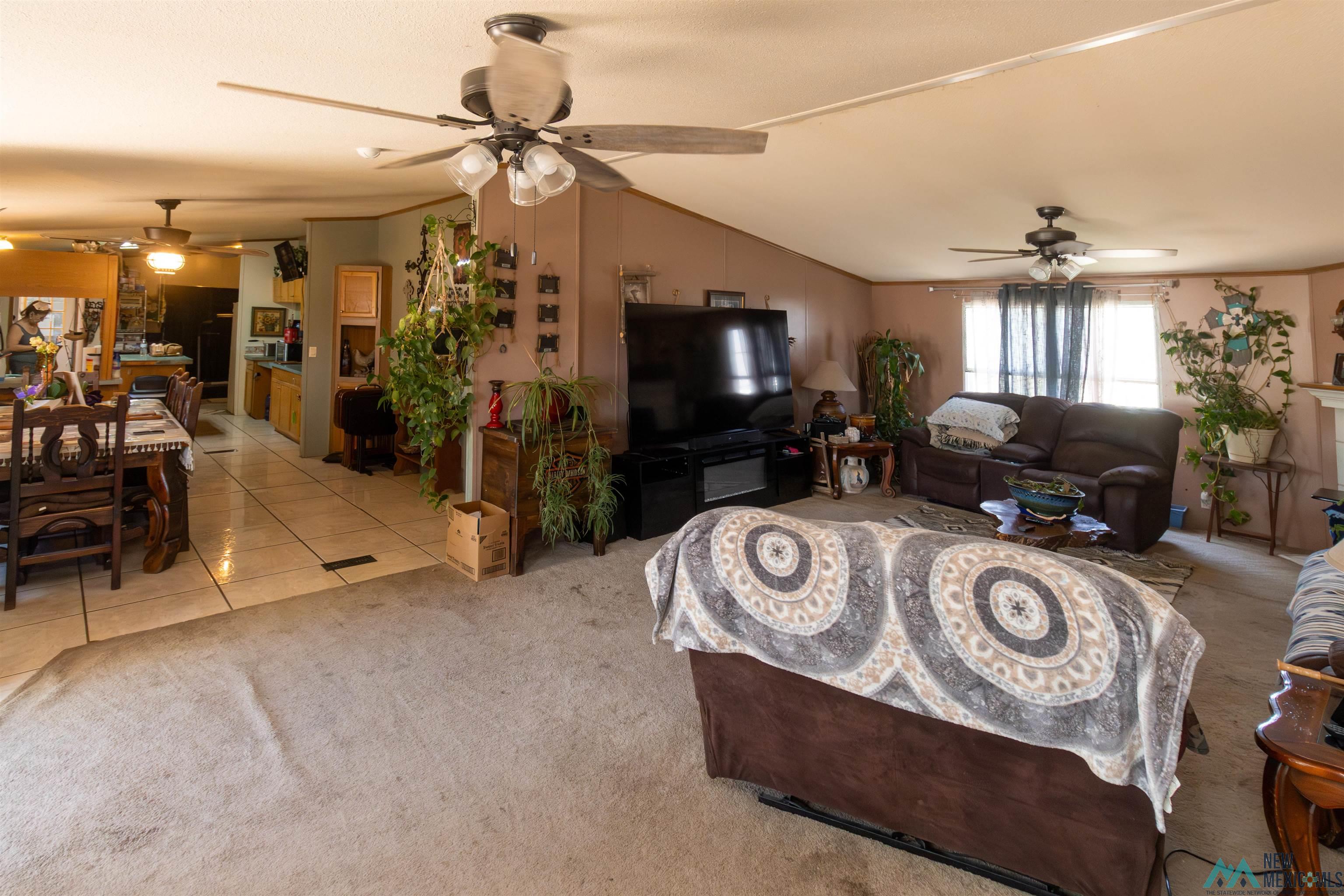 1509 Papershell Road Carlsbad, NM 88220 - Photo 26 of 47 Living room