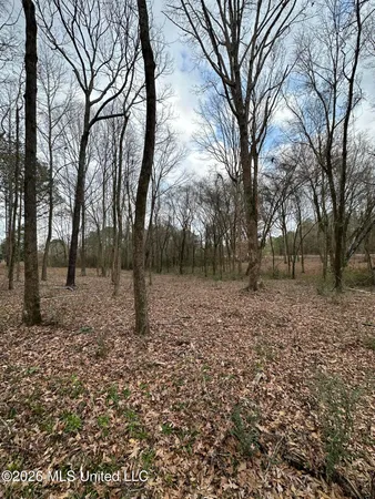 $28,000 | 0 Futch Road, Forest, MS 39074
