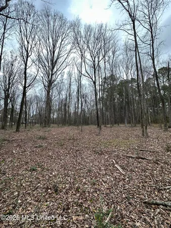 $28,000 | 0 Futch Road, Forest, MS 39074