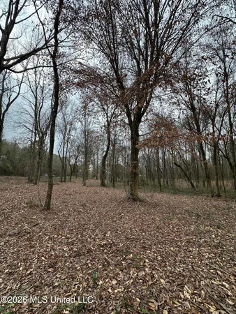$28,000 | 0 Futch Road, Forest, MS 39074