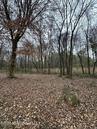 $28,000 | 0 Futch Road, Forest, MS 39074