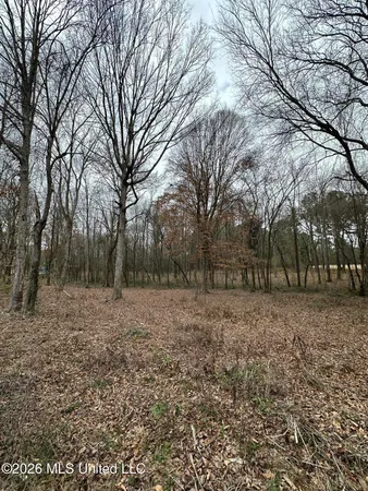 $28,000 | 0 Futch Road, Forest, MS 39074