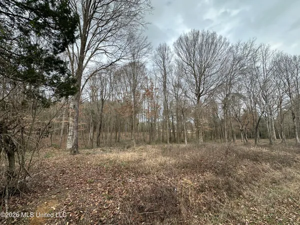 $28,000 | 0 Futch Road, Forest, MS 39074