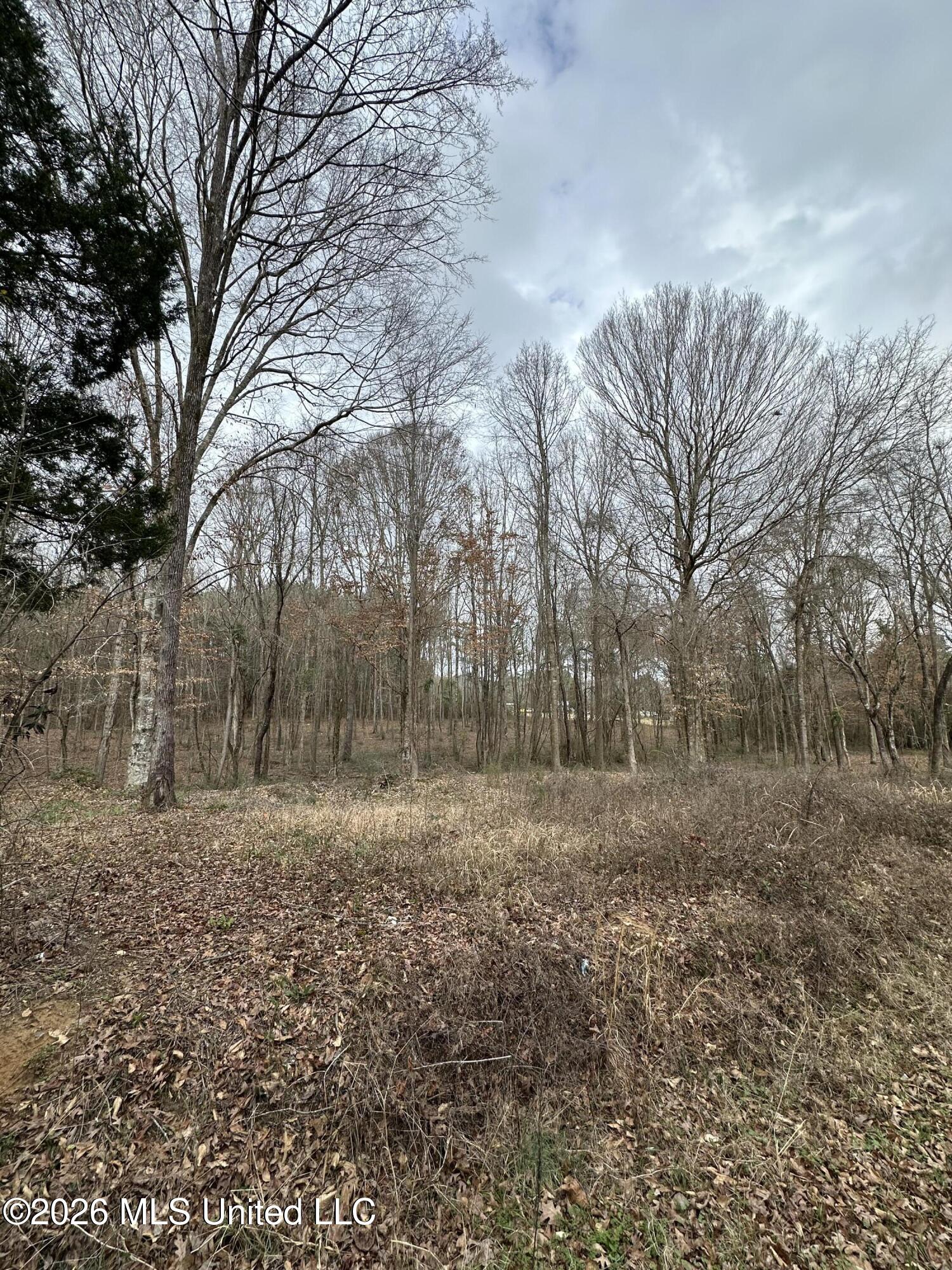 0 Futch Road Forest, MS 39074 - Photo 3 of 17 2.