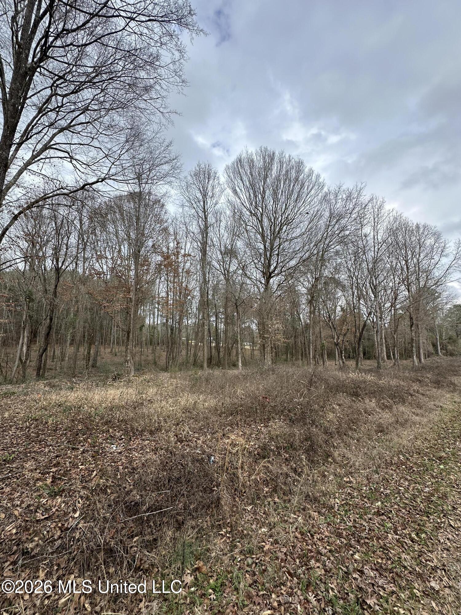 0 Futch Road Forest, MS 39074 - Photo 4 of 17 3.