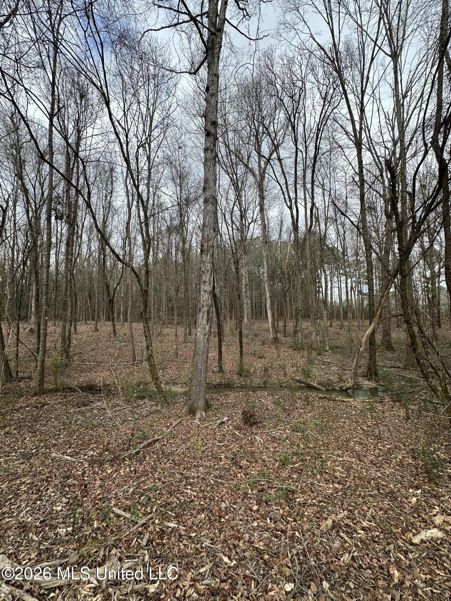 0 Futch Road Forest, MS 39074 - Photo 6 of 17 5.